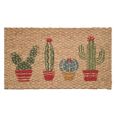 FELPUDO COCO TRENZADO CACTUS 40 X 70 CM